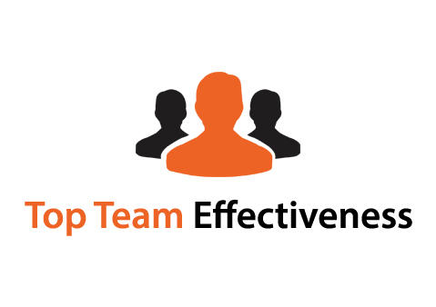 Top Team Effectiveness